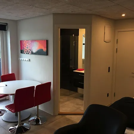 Elisesminde Apartment Vejle